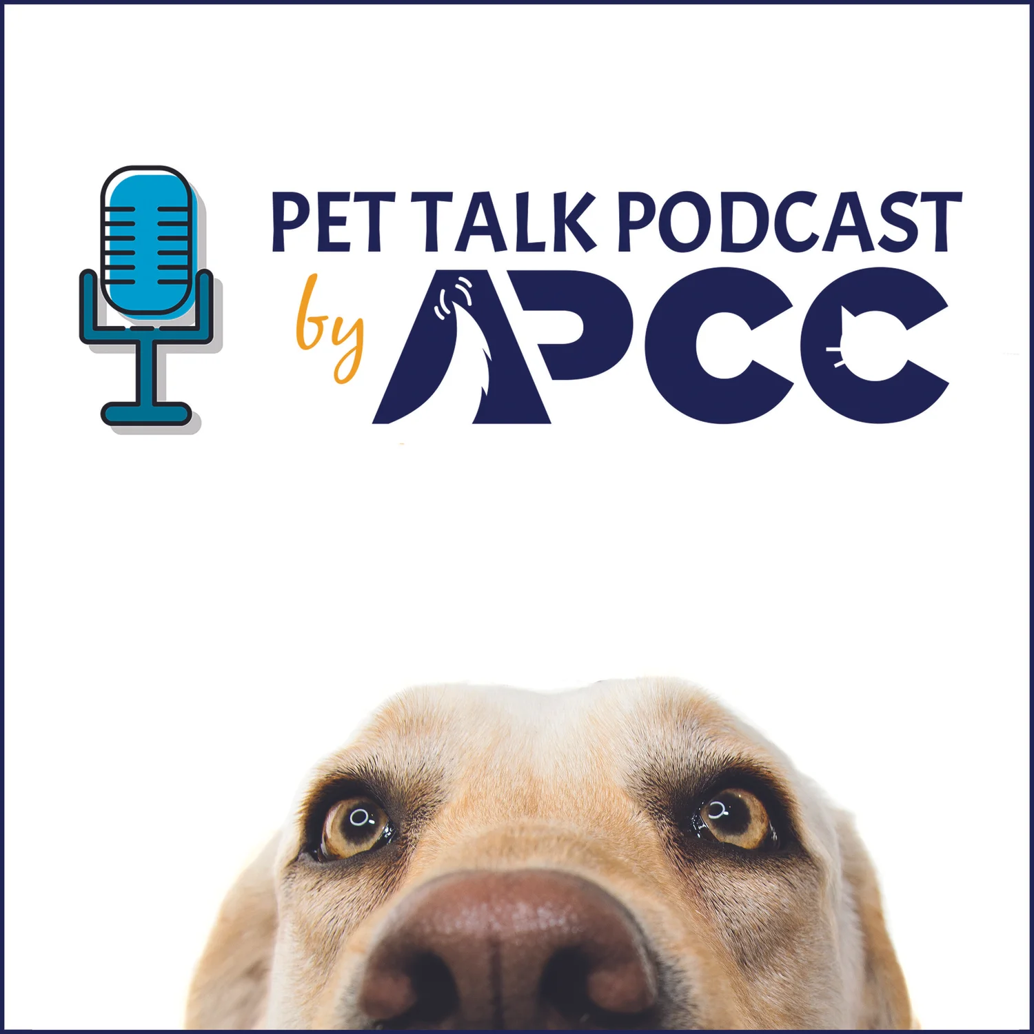 Pet Talk Podcast podcast artwork