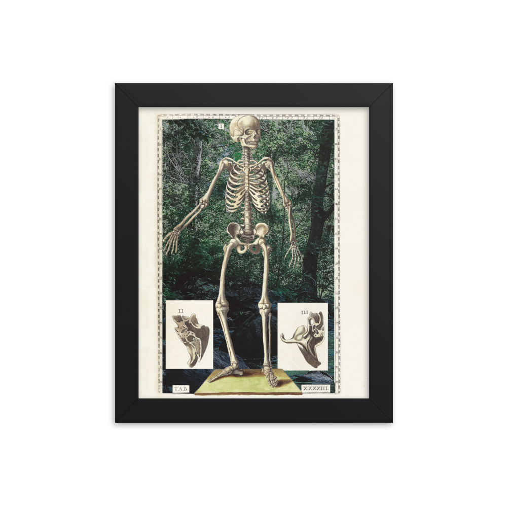 Skeleton-Rutland_mockup_Transparent_Transparent_8x10.png