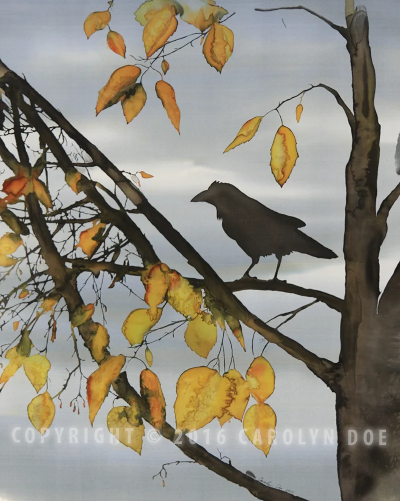Raven in Yellow Birch