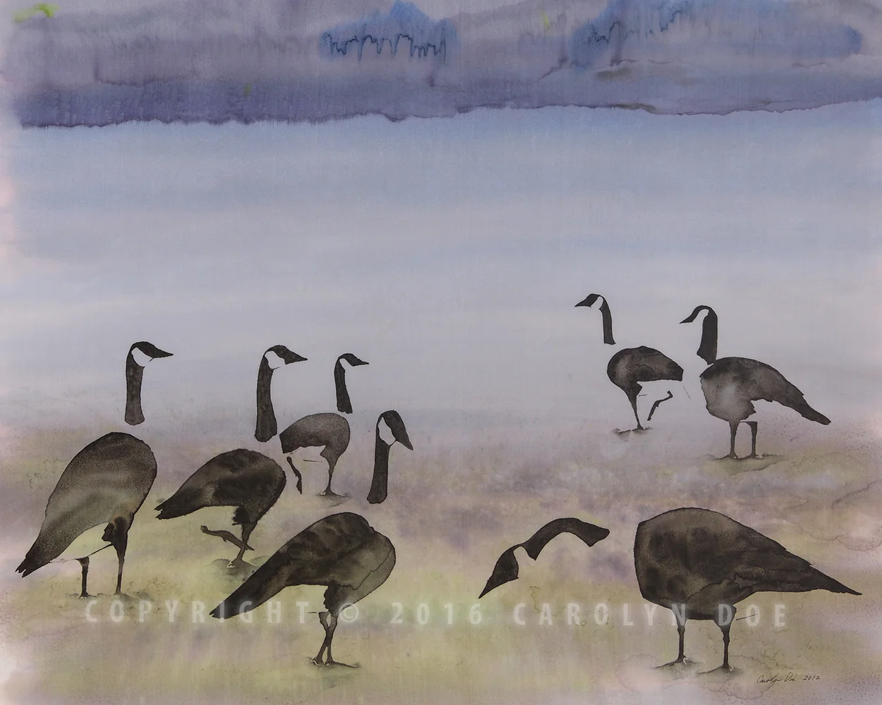 The Mystery of Migration, Geese