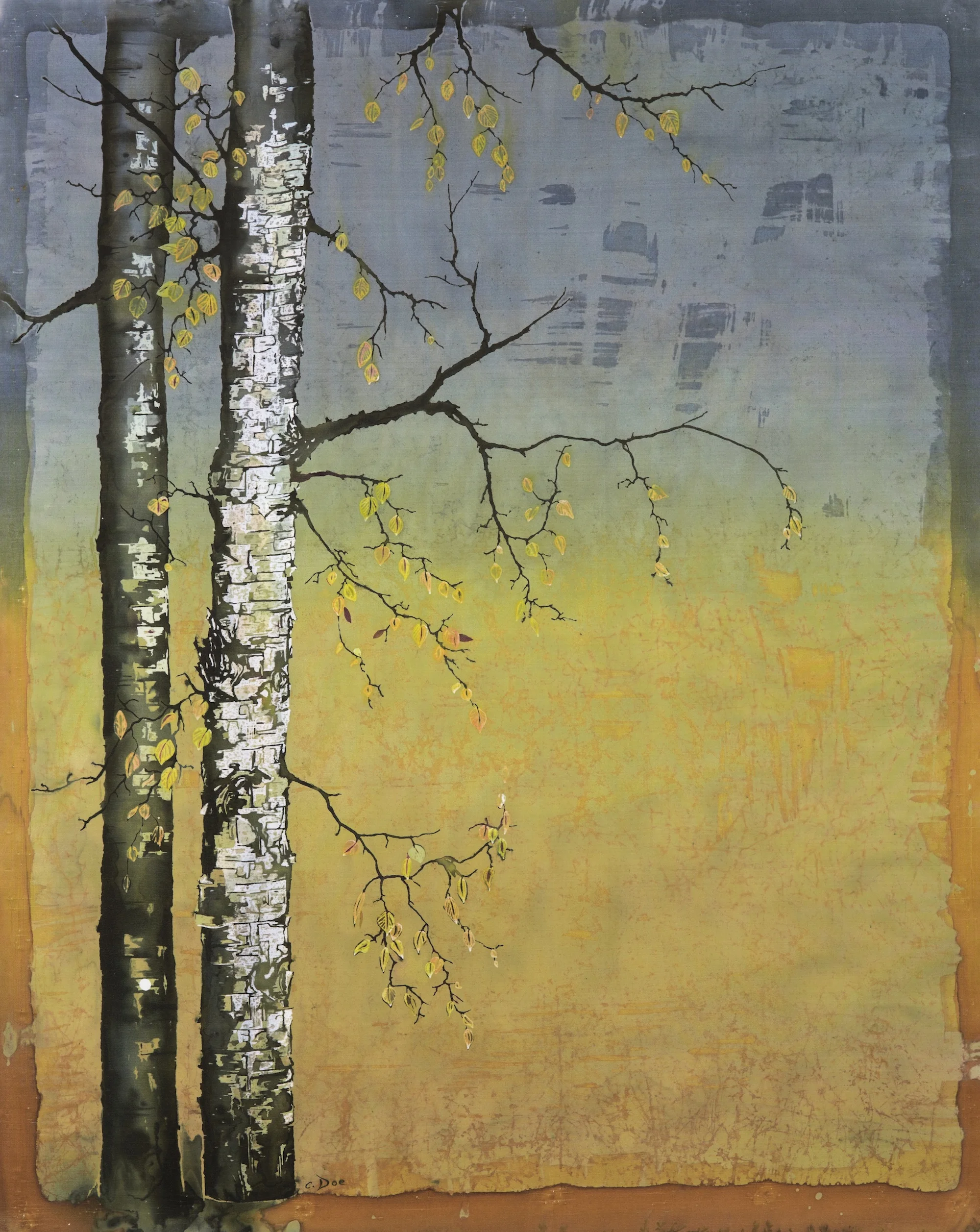 Alaska Birch