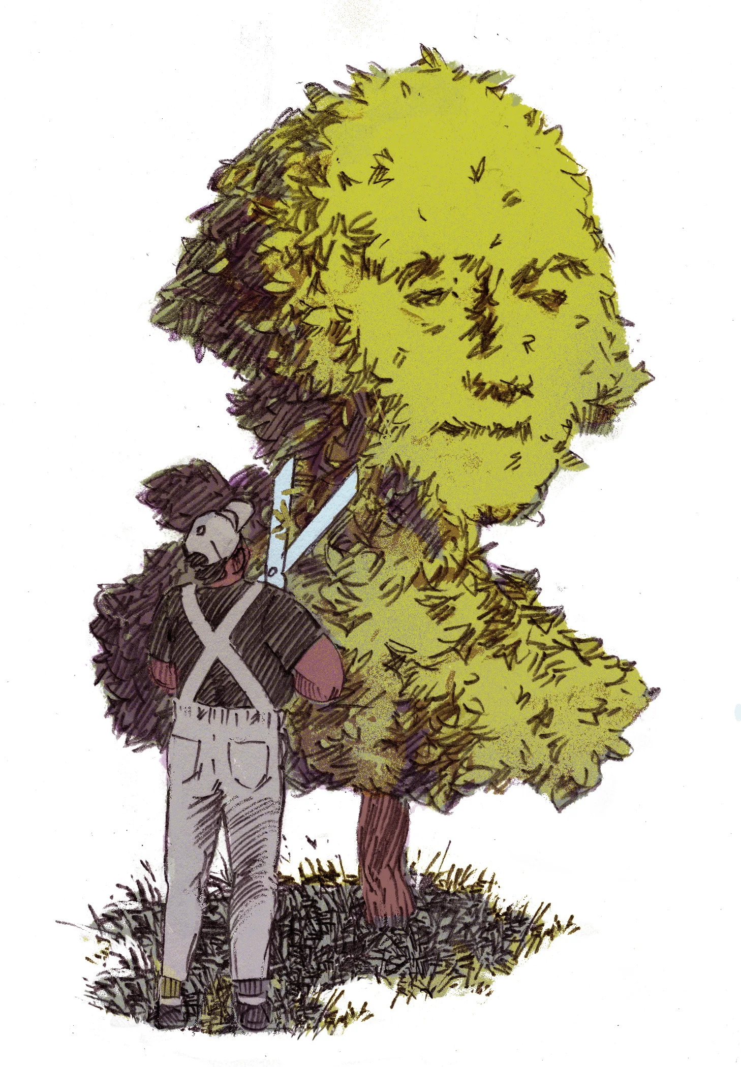 Washington Shrub2.jpg
