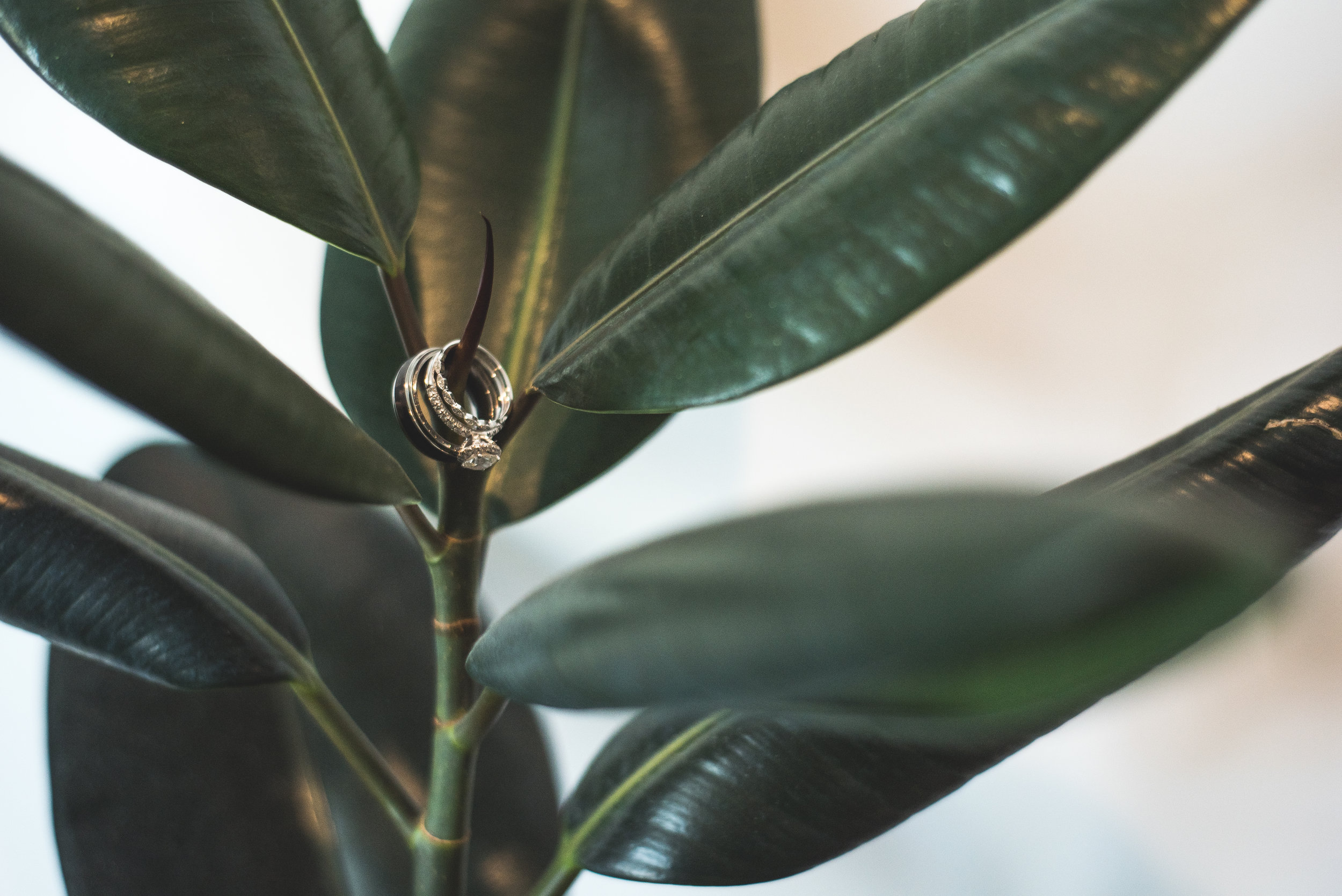 details-12.jpg