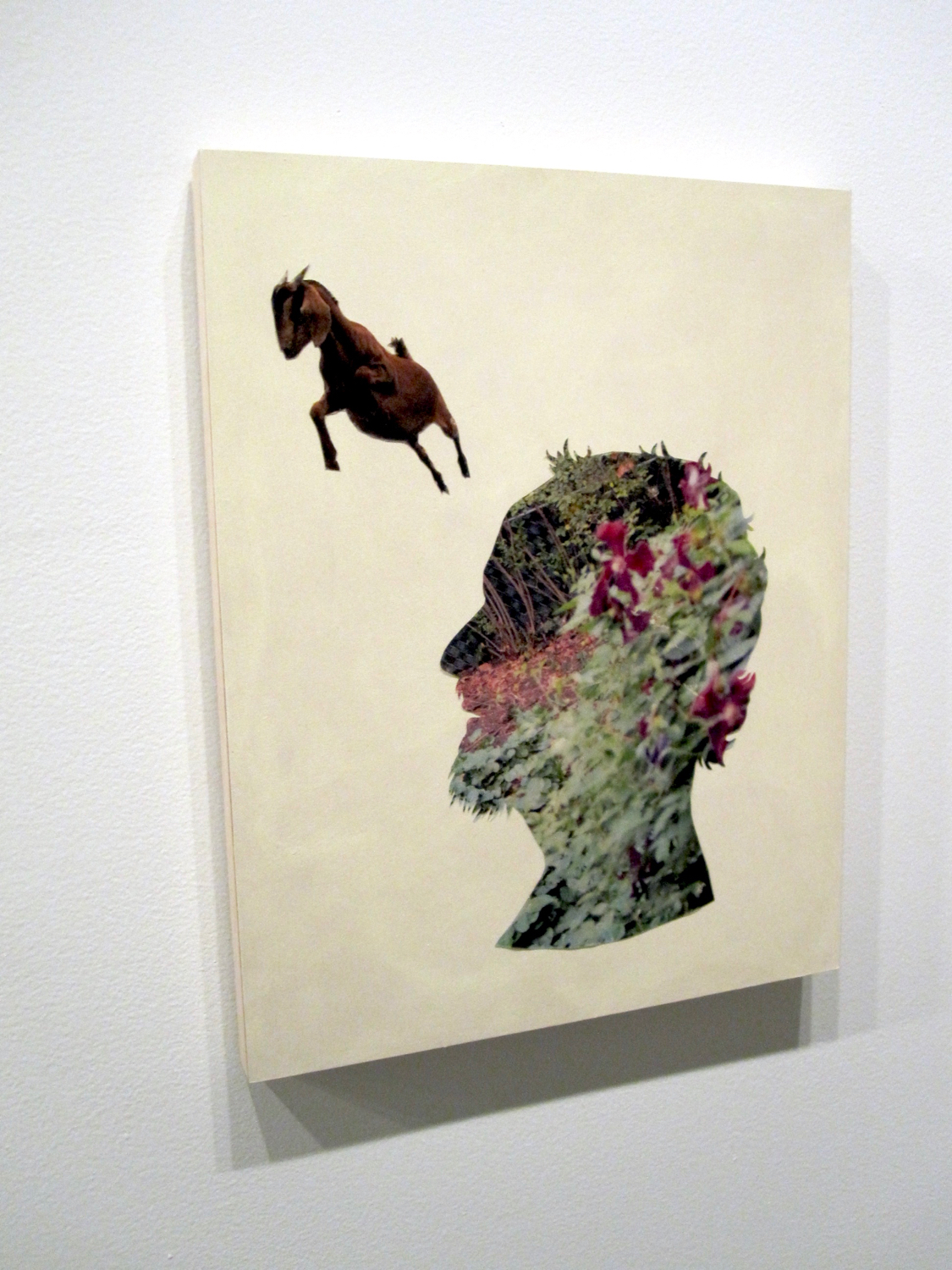 CC Ann Chen