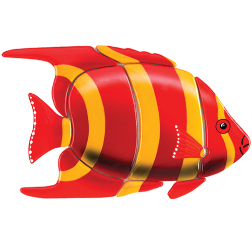 Angelfish (Red)