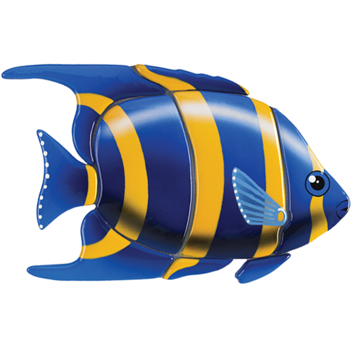 Angelfish (Blue)