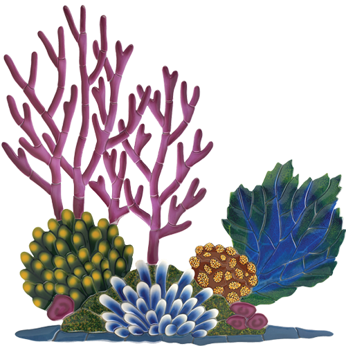 Coral Reef