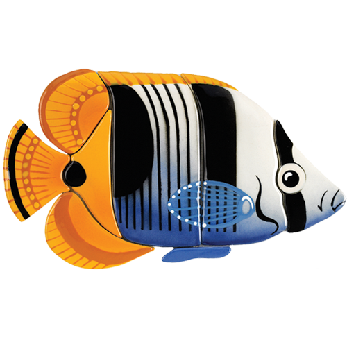 Saddle Butterfly Fish