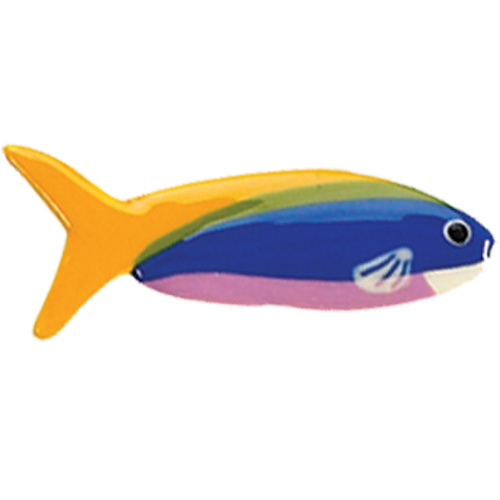 Wrasse