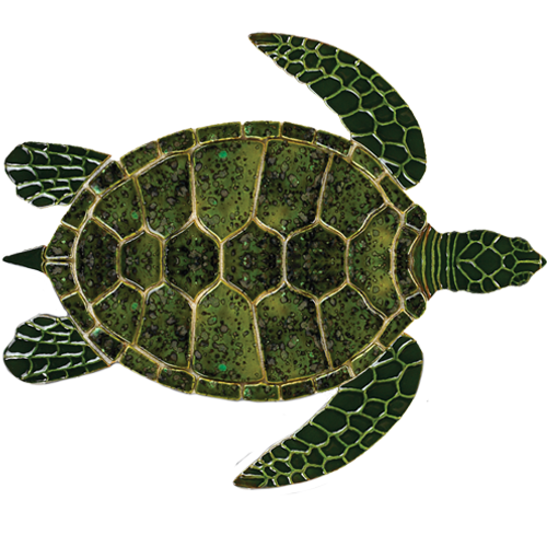 Green Sea Turtle