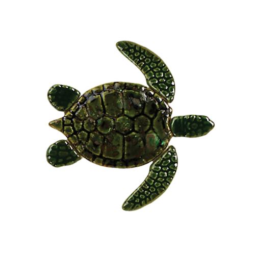 Green Baby Sea Turtle