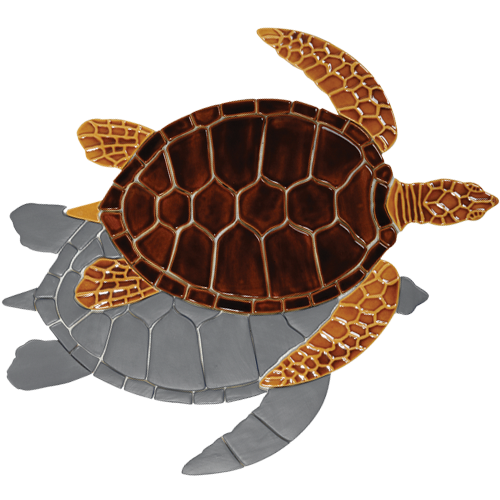 Brown Sea Turtle w/sh