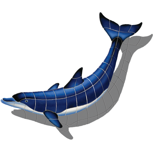Blue Dolphin B w/sh