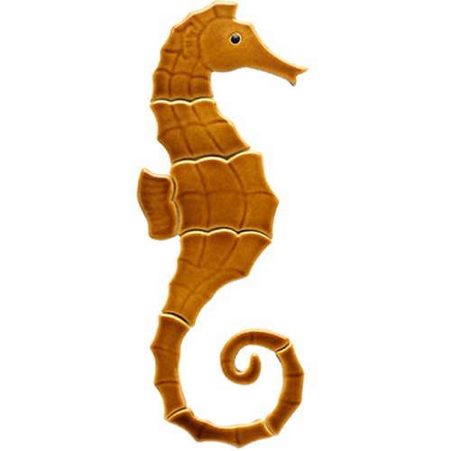 Single Seahorse