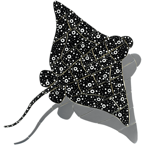 Spotted Eagle Ray w/sh