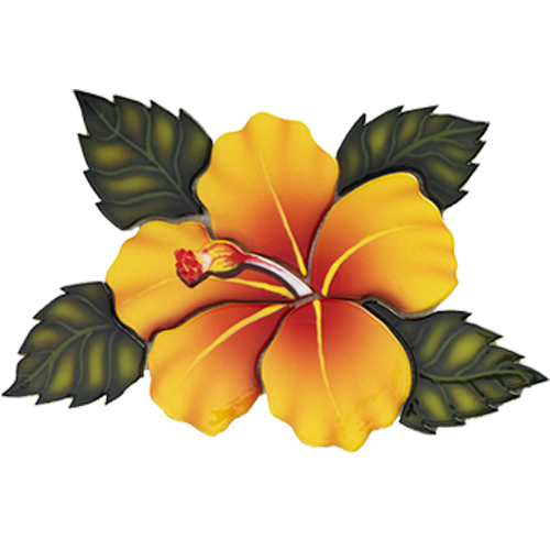 Yellow Hibiscus