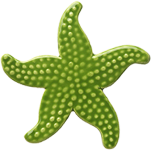 5" Green Starfish