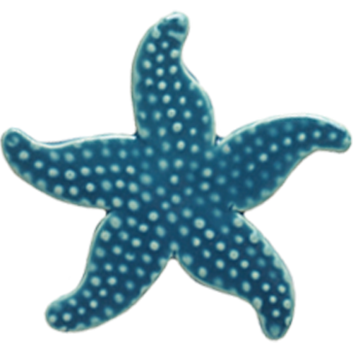 5" Light Blue Starfish