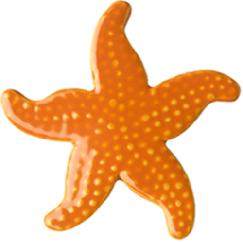 5" Orange Starfish