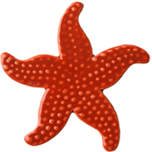 5" Sunset Starfish