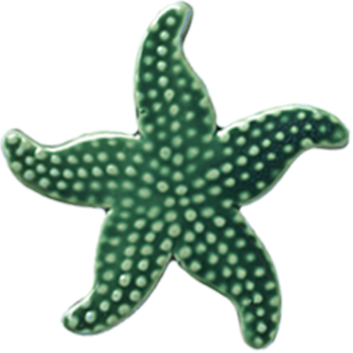 5" Teal Starfish