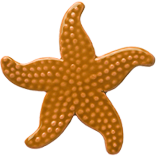 5" Tan Starfish