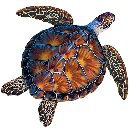 Brown Turtle