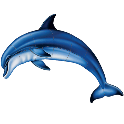 Bottlenose Dolphin A