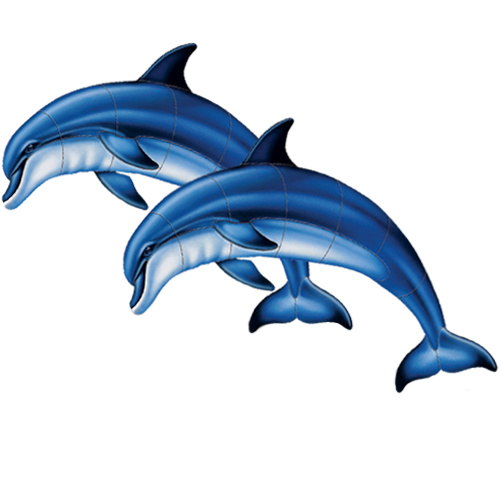 Double Bottlenose Dolphin A