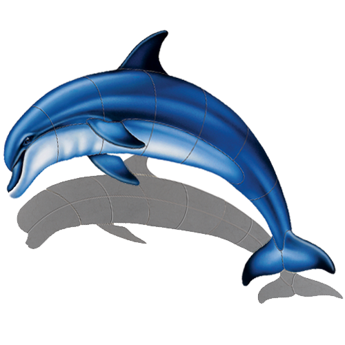 Bottlenose Dolphin A w/sh