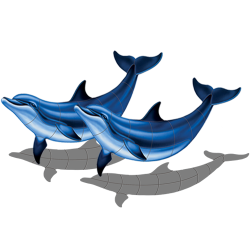 Double Bottlenose Dolphin B w/sh