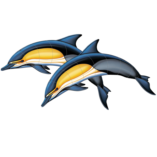 Common Dolphin Double