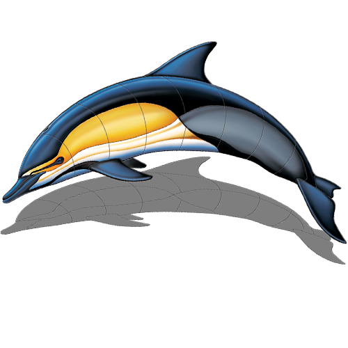 Common Dolphin A w/sh
