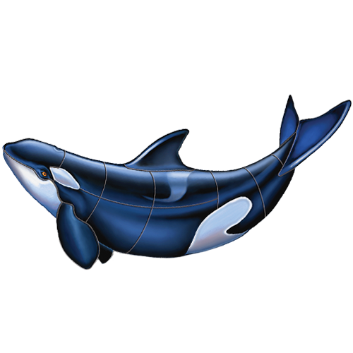 Orca B