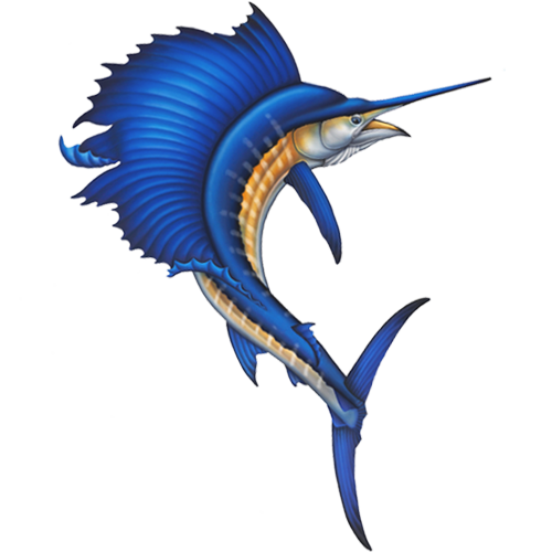 Sailfish