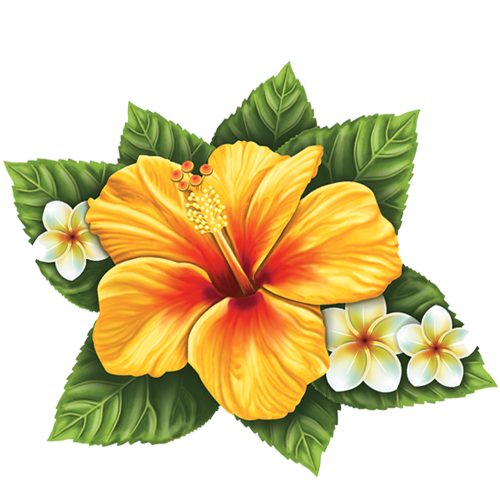 Hibiscus Flower (Single)