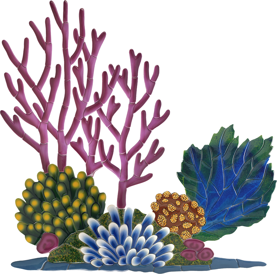 Coral Reef Png