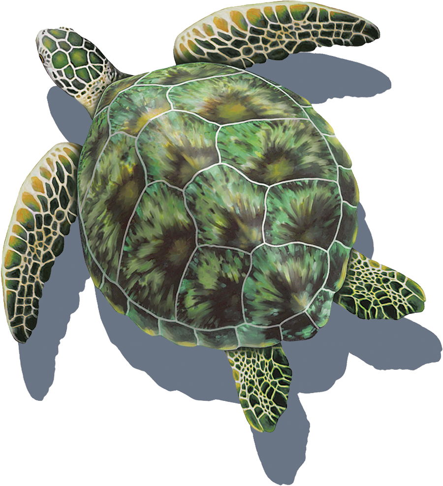 Porcelain Green Turtle Mosaic with Shadow — Custom Mosaics