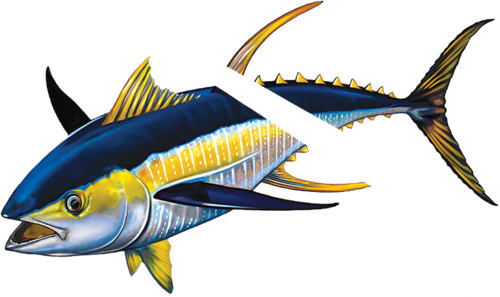 Tuna with Split Reverse