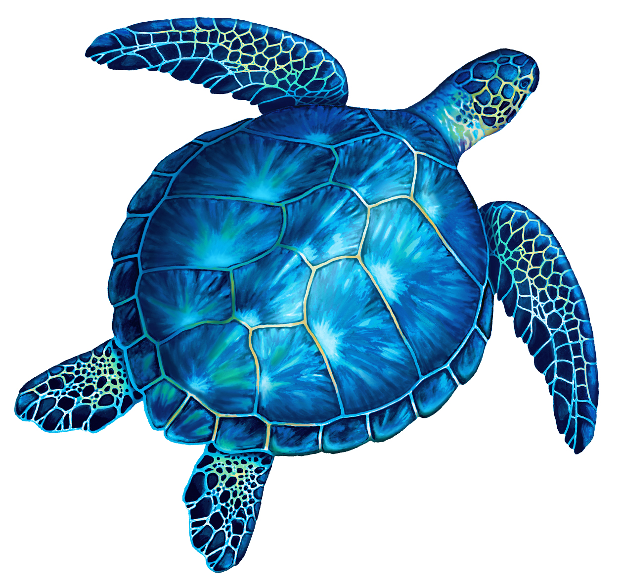 Blue Turtle