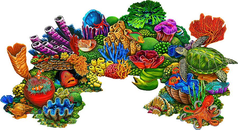 Coral Reef A