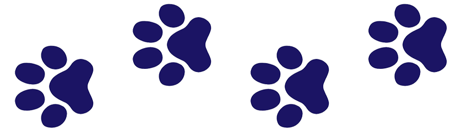 Paw Print Step Markers