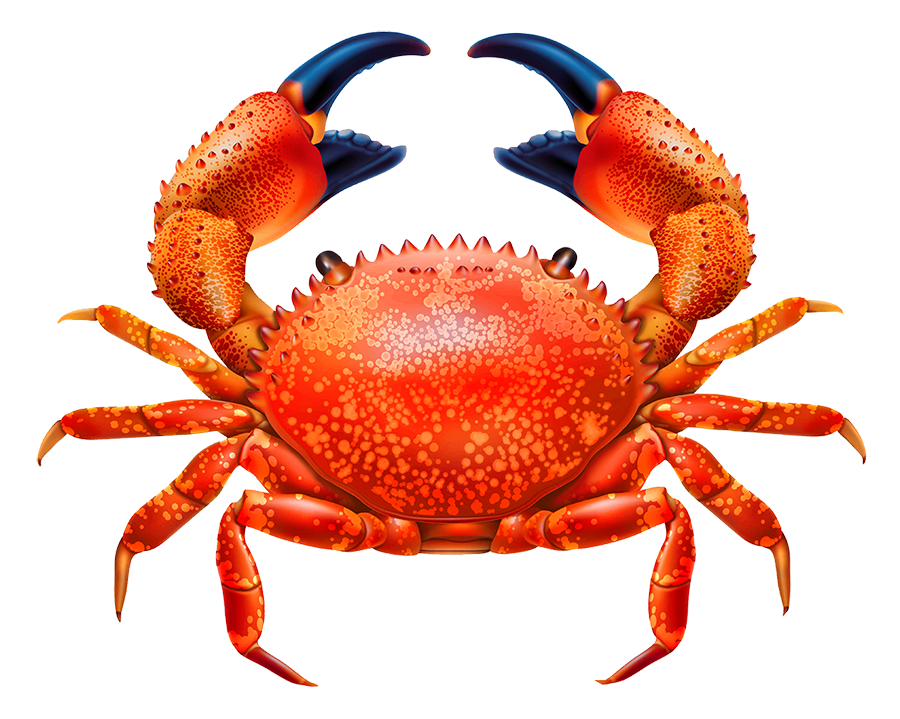 Red Crab