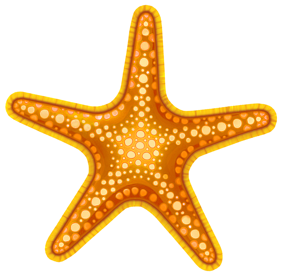 Orange and Yellow Starfish