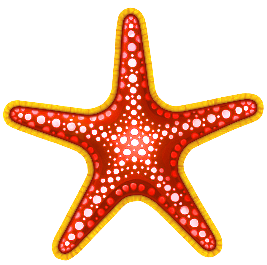 Red and Yellow Starfish