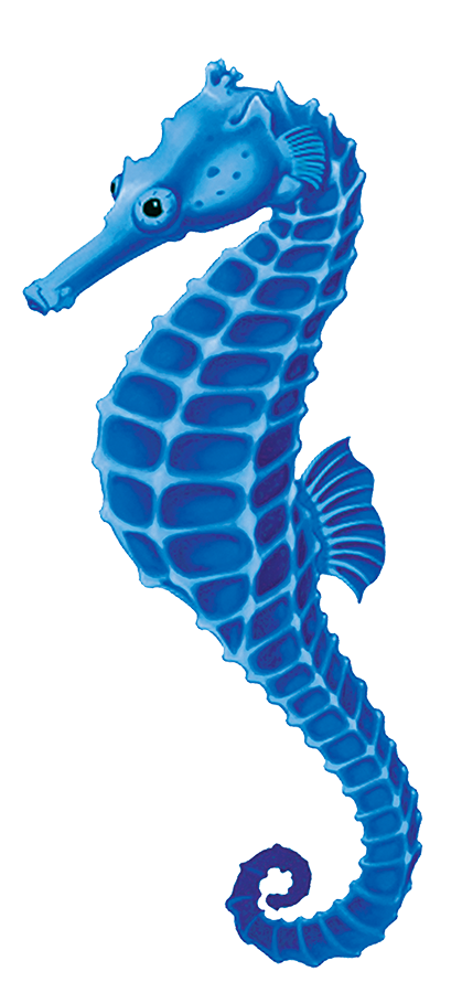 Blue Seahorse