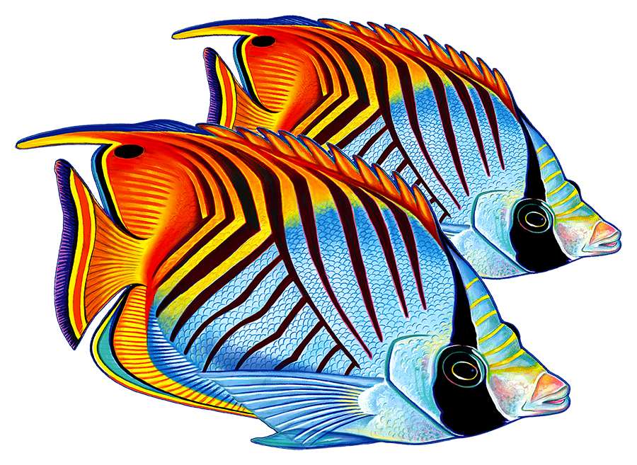 Threadfin Butterflyfish Double