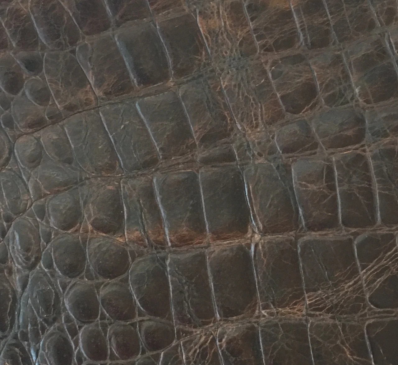 FullSizeRender-4.jpg