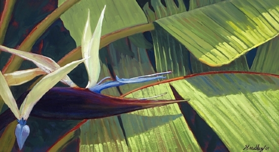 white-bird-of-paradise.jpg