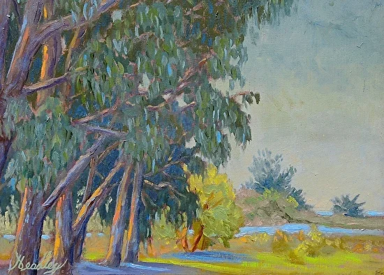 eucalyptus.jpg